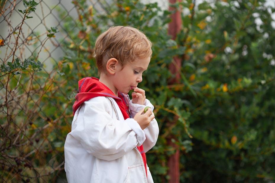    Shutterstock/FOTODOM