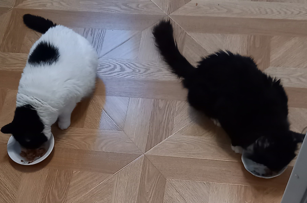 Фото автора.