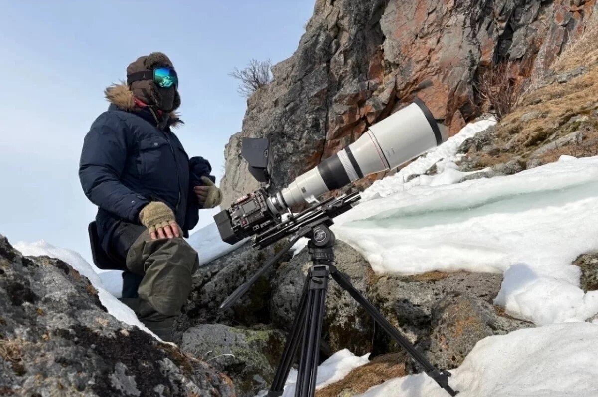    «Косолапая история».