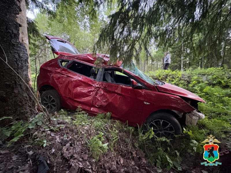    Пьяный водитель намотал иномарку на дерево в КарелииМВД Карелии