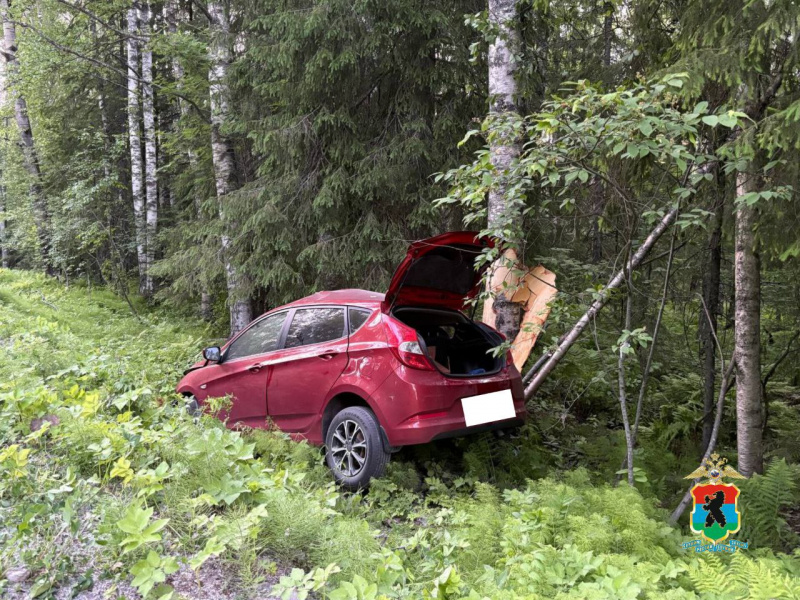    Пьяный водитель намотал иномарку на дерево в КарелииМВД Карелии