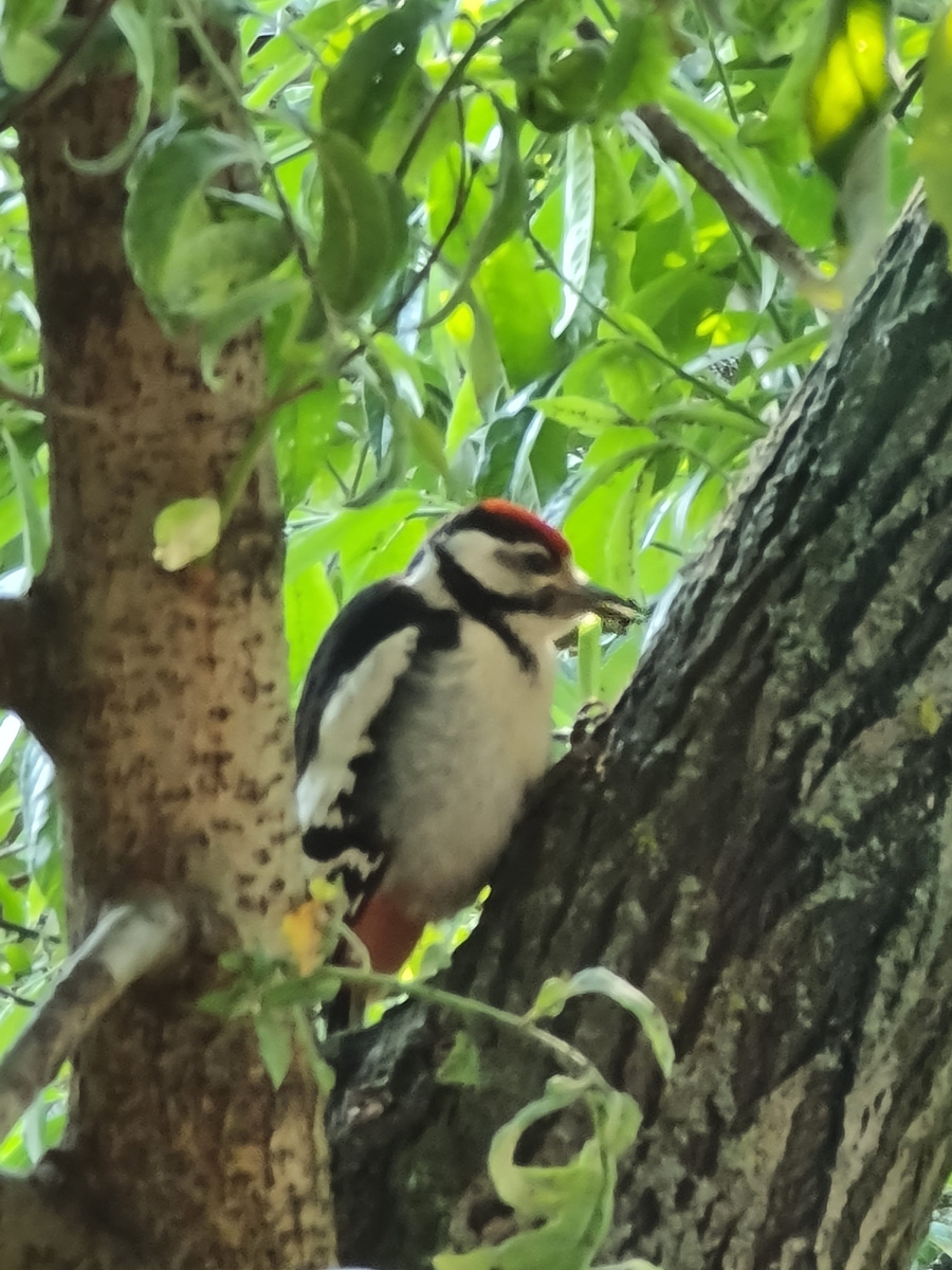 Фото автора. Сняла через окошко.