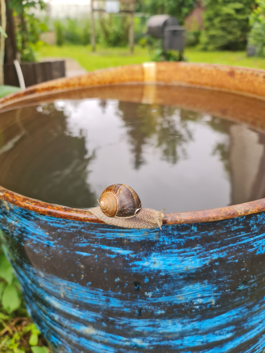 Фото автора.