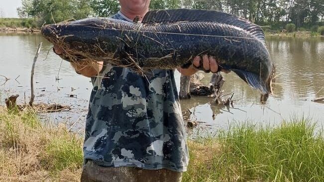     Источник: Улов25