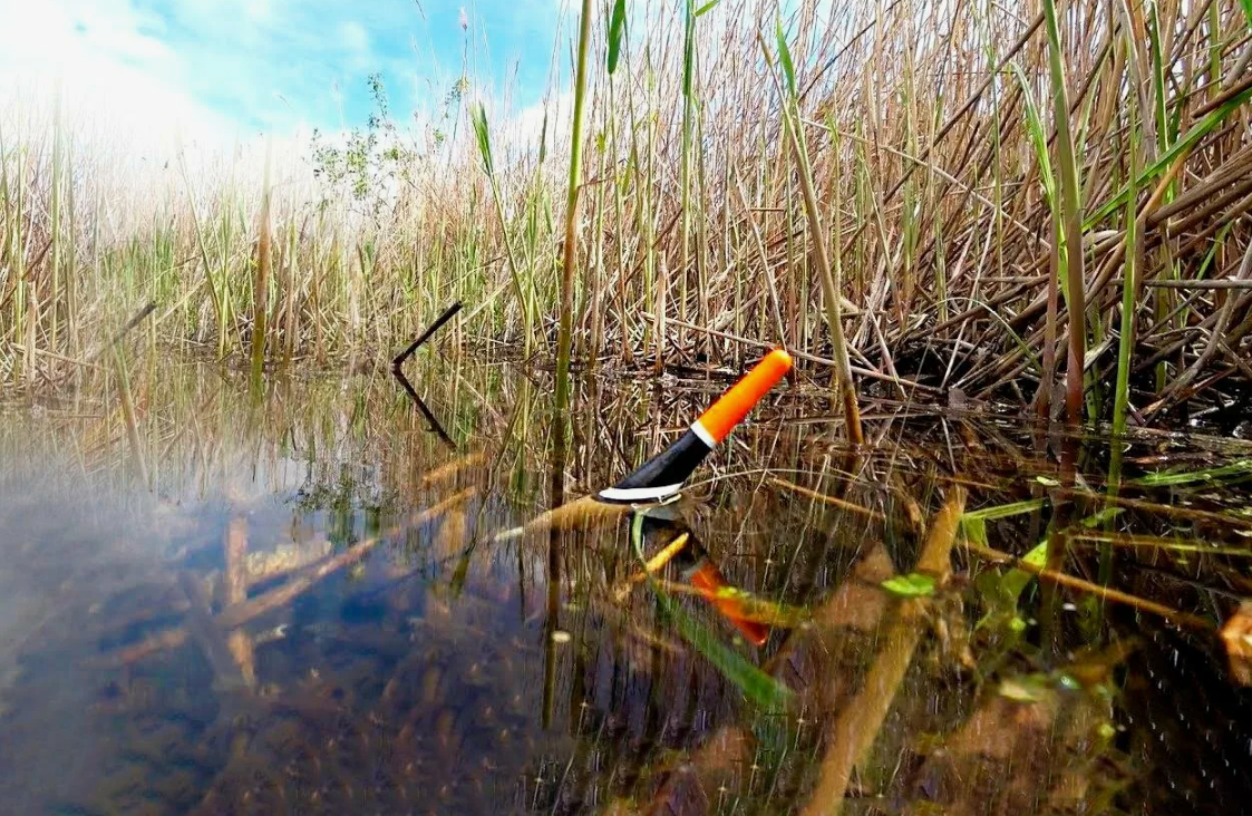 Рыбалка на карася в камышах. Источник фото kasheloff.ru