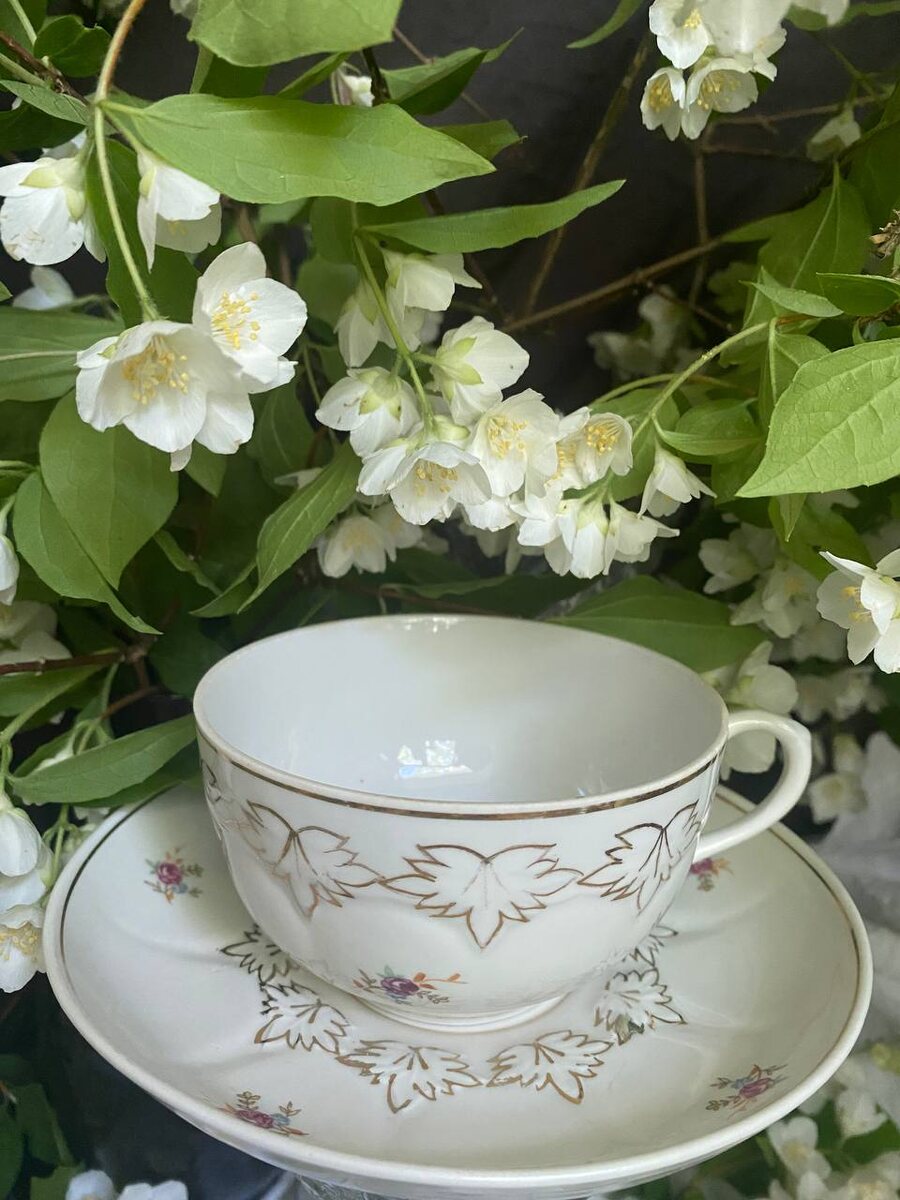 Дулево. Чашечку я купила на барахолке за 100 рублей. Она лежала на земле, грустная и чумазая. https://dzen.ru/a/aBemOcEfOH6_xRLN