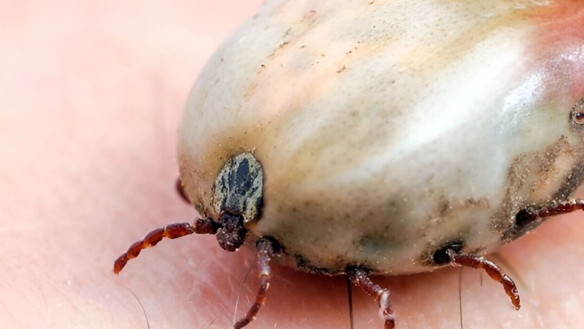     Источник: freepik.com