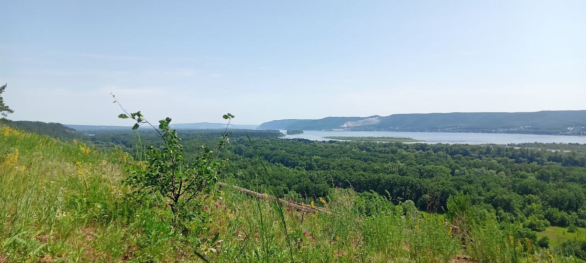 Самарская область, вид на Волгу с Мыса Красоты