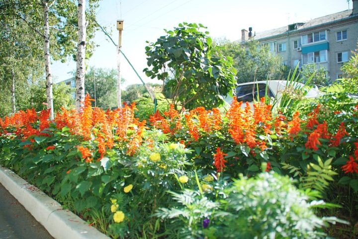    Фото:пресс-служба мэрии Хабаровска