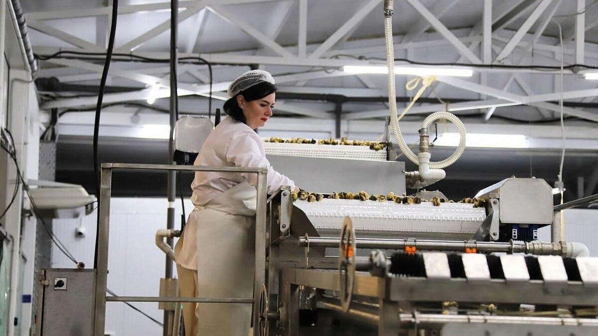    Фото: admkrai.krasnodar.ru