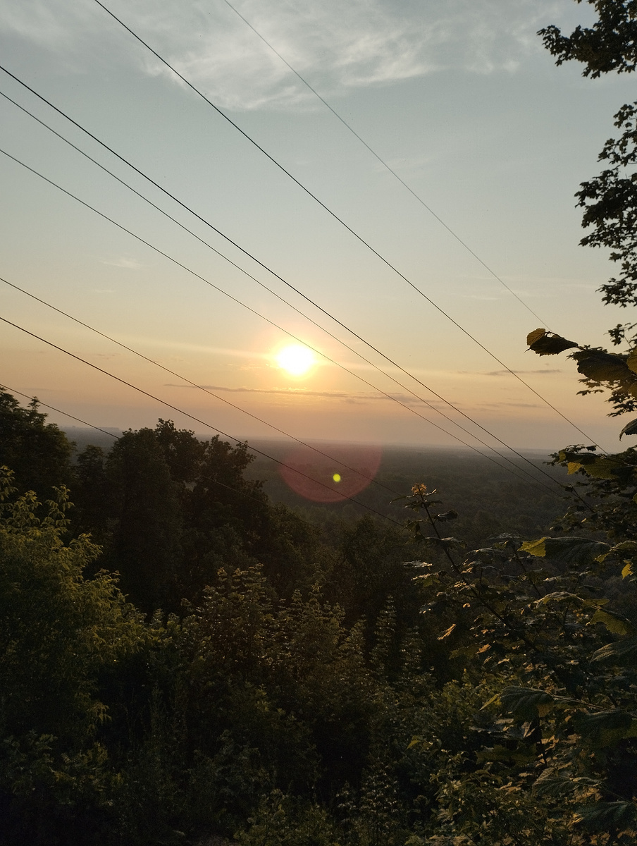 Из архива 16.06.2025