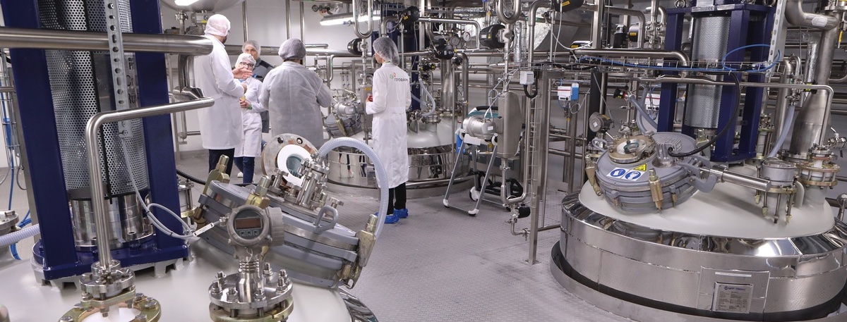    Автор фото: Лидия Верещагина / "ДП"