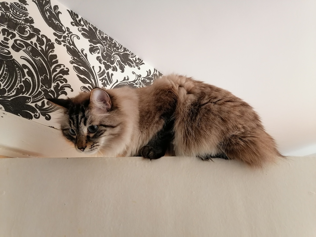 Сеня. Фото автора