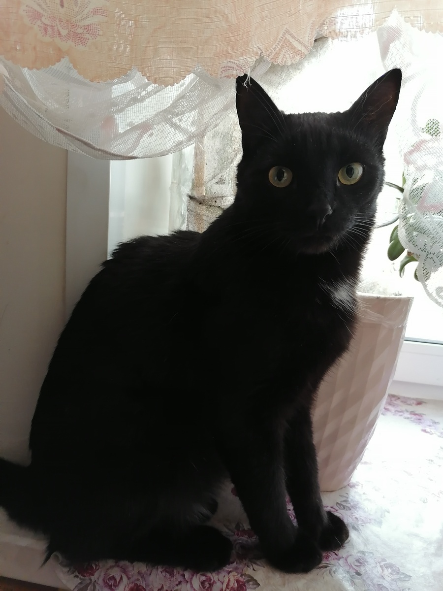 Шаман Фёдор. Фото автора