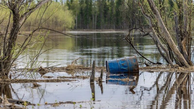    Фото: Сергей Зубков / «Ямал-Медиа»