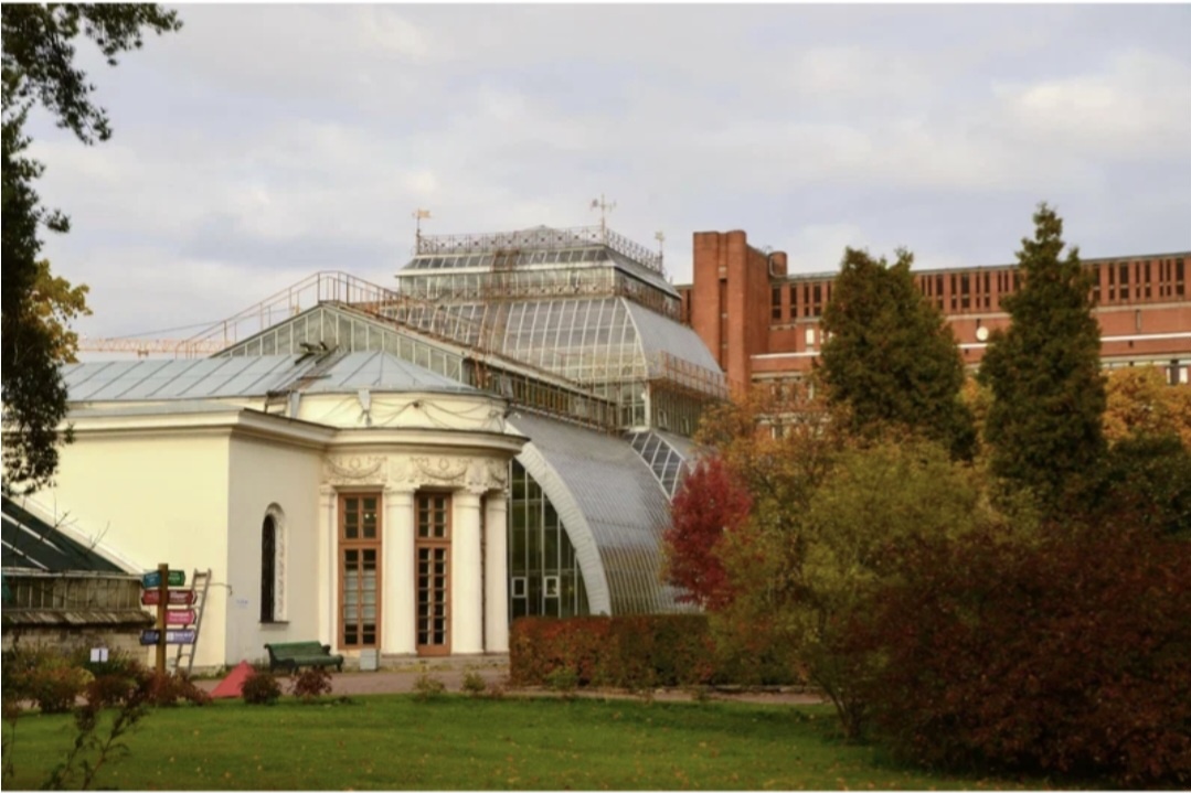 Из открытых источников.