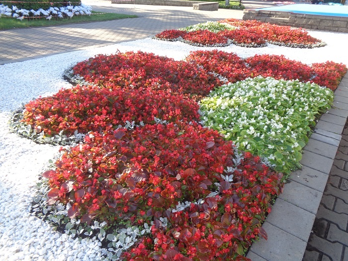 Выставка Флора, Омск. Фото автора