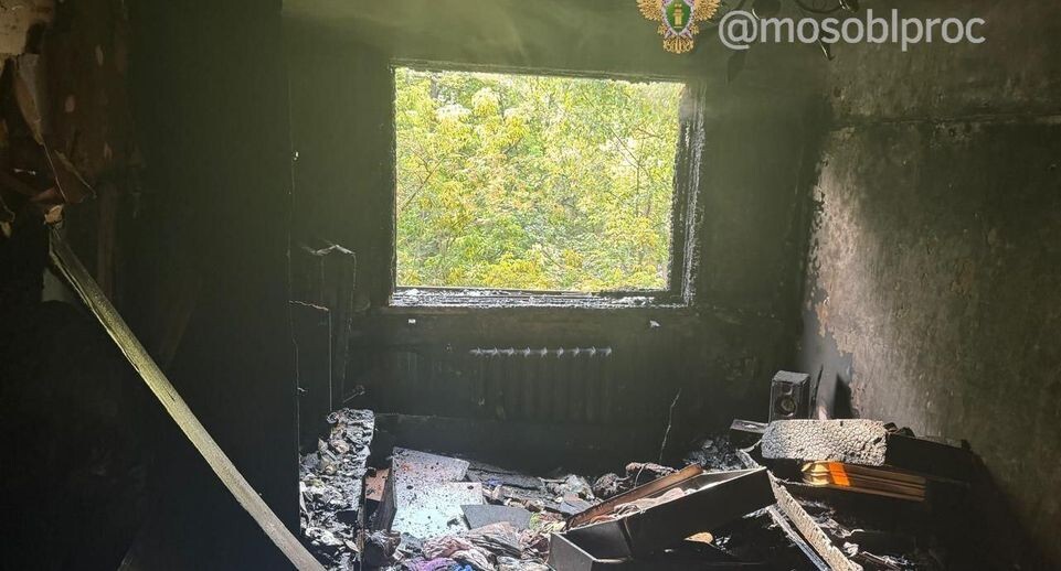    Прокуратура Московской области / Telegram