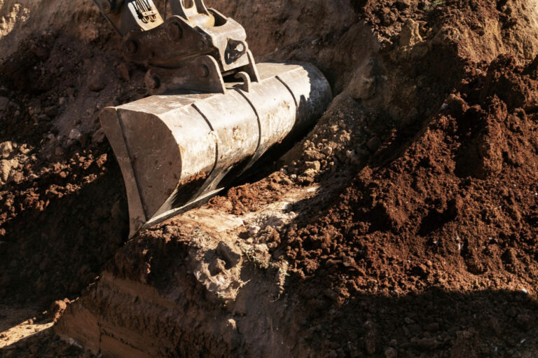    Фото: freepik.com/freepik Ольга Шмырева