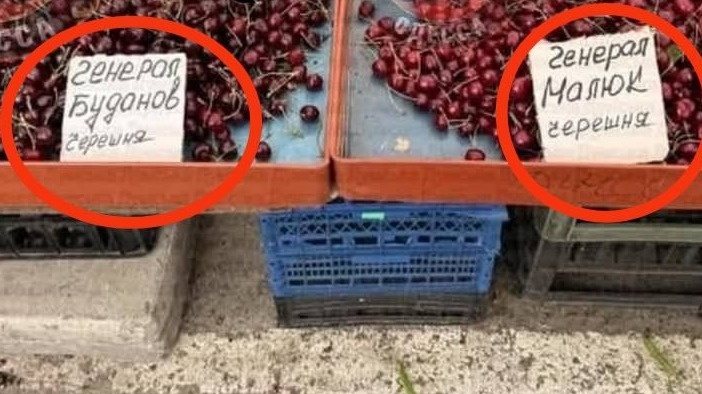    Фото: Владимир Рогов / Telegram