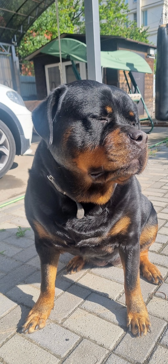 Берта принимает солнечные ванны ! 😂