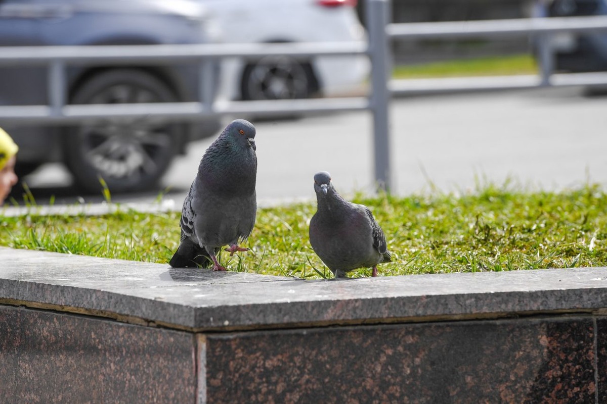    Фото: "Республика" / Оксана Кудряшова