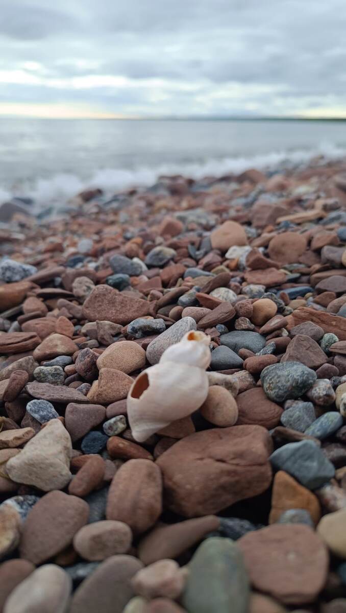 А это я лежу у моря на камнях