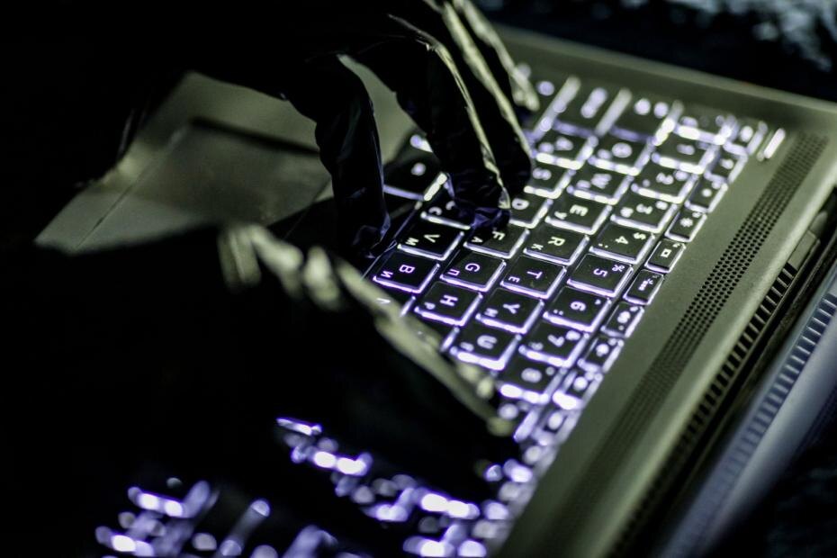    Сергей Лантюхов/NEWS.ru