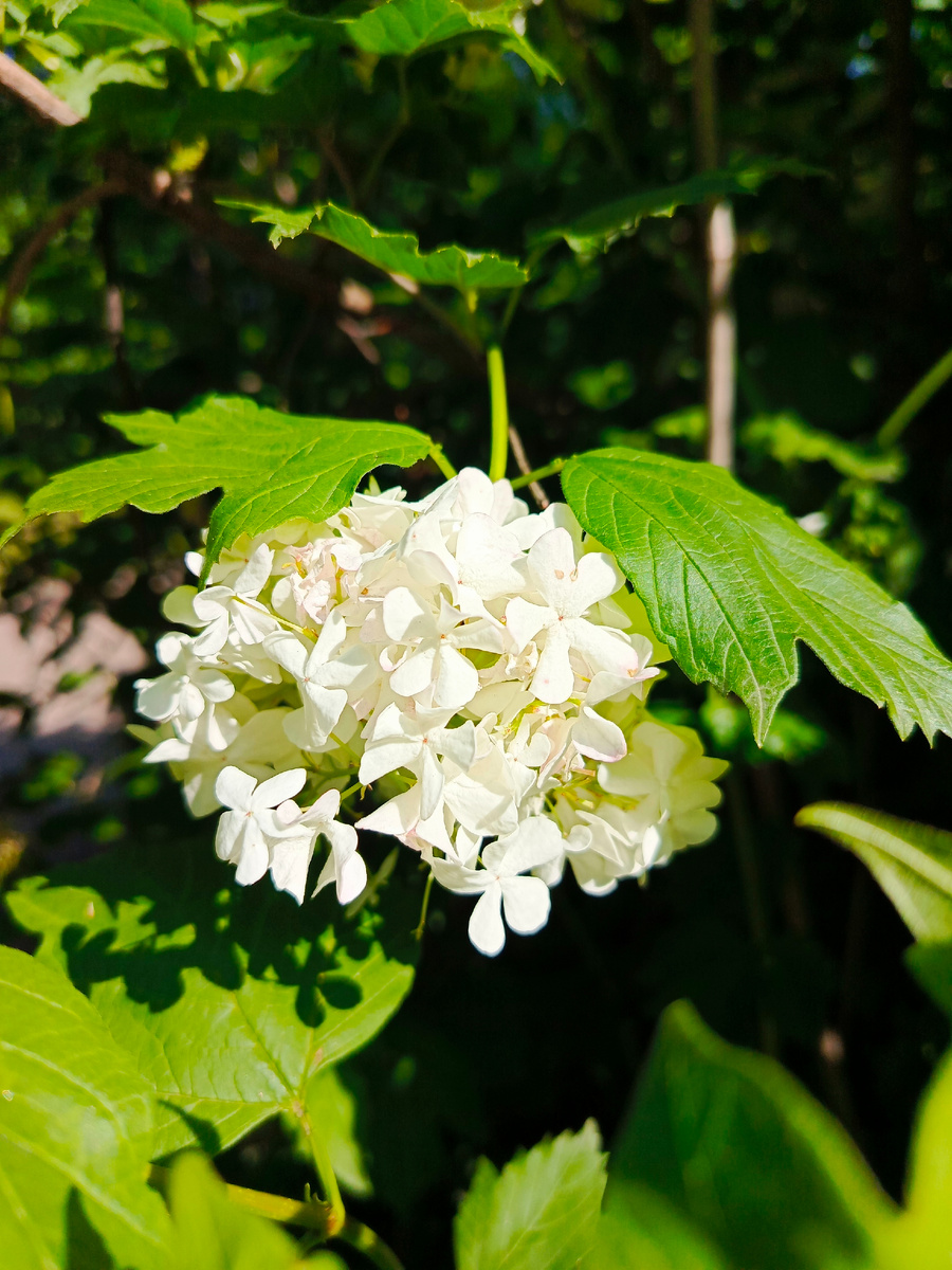 Фото авторское