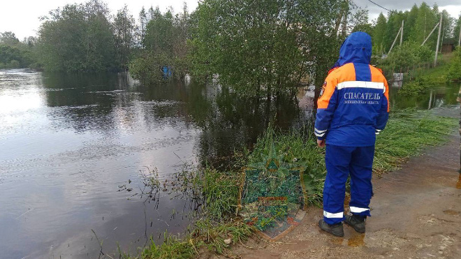 Фото: Комитет правопорядка и безопасности Ленинградской области