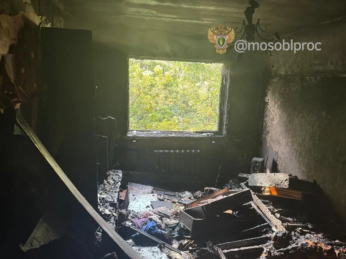    Фото: прокуратура Подмосковья