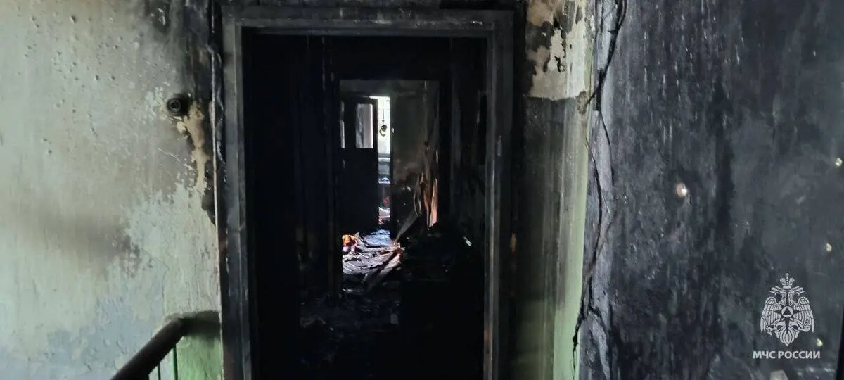    Фото: МЧС РФ