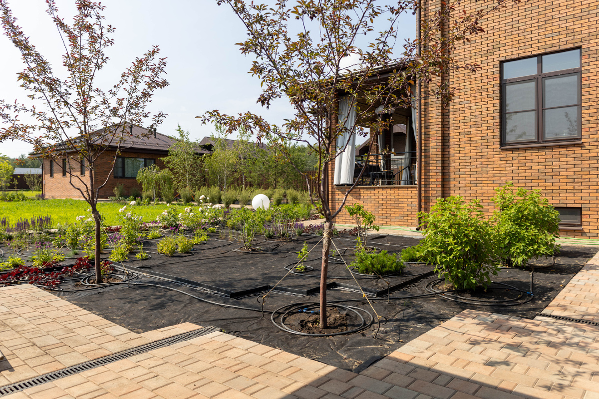 Пример озеленения участка с применением автополива. 