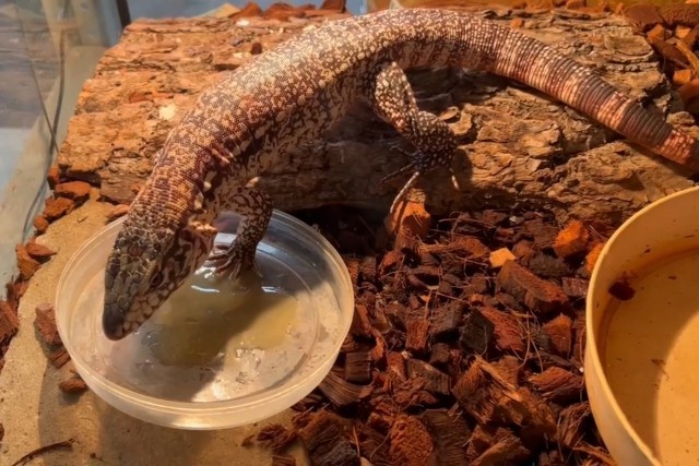   Кадр с видео