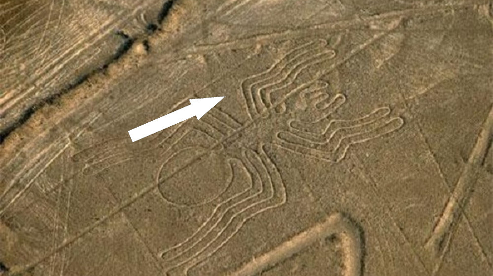    ТАЙНА ЛИНИЙ НАСКИ КТО НАРИСОВАЛ ГИГАНТСКИЕ ПОСЛАНИЯ ПУСТЫНИ