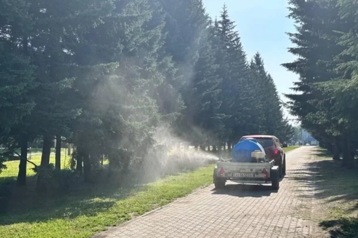    В Муравленко началась обработка городских территорий от насекомых