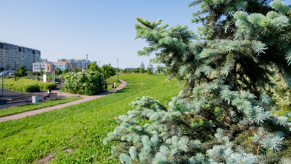    Автор фото: Сергей Ермохин