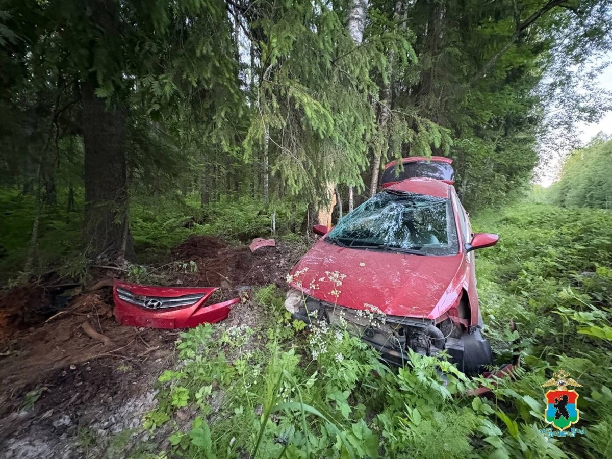    Фото: Полиция Медвежьегорска / ВК