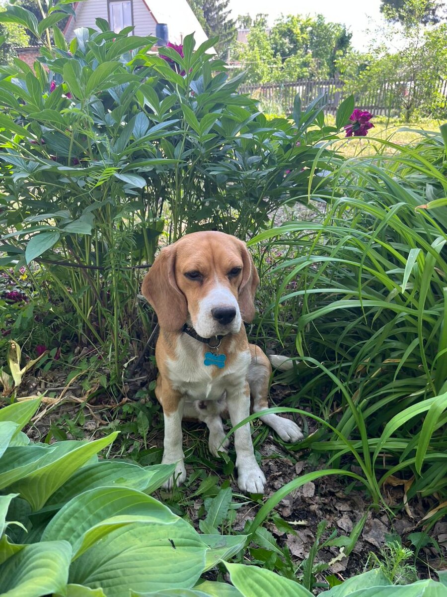 Внешность Мартина обманчива. Внутри он брутальный мужчина