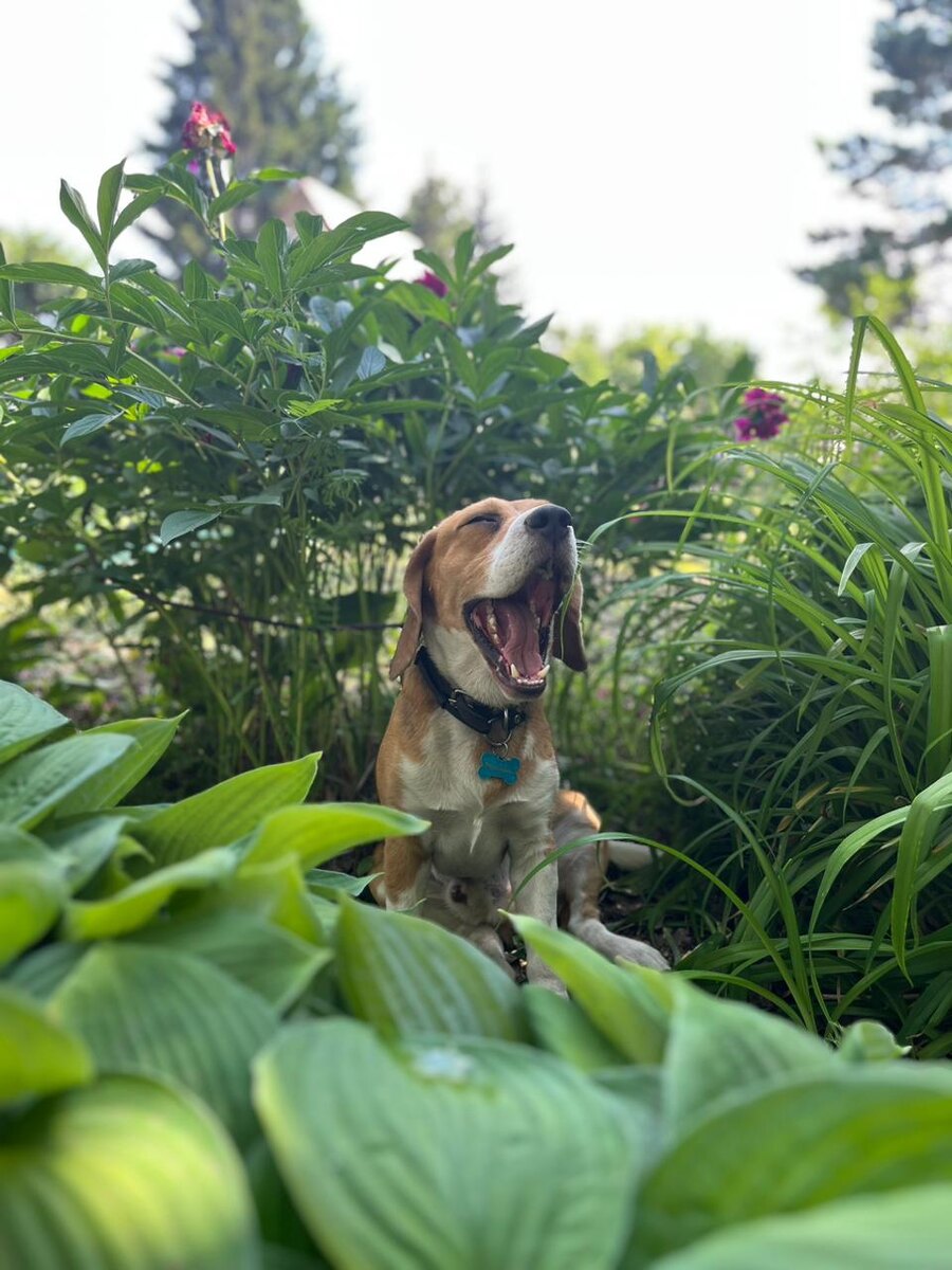 Мартин смеётся над попытками его воспитать
