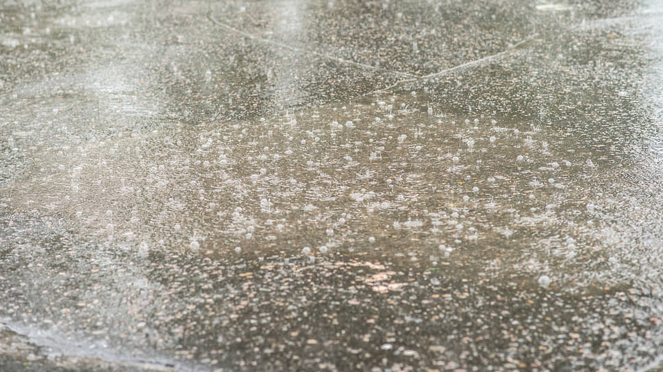 Фото: Игорь Елисеев / Коммерсантъ