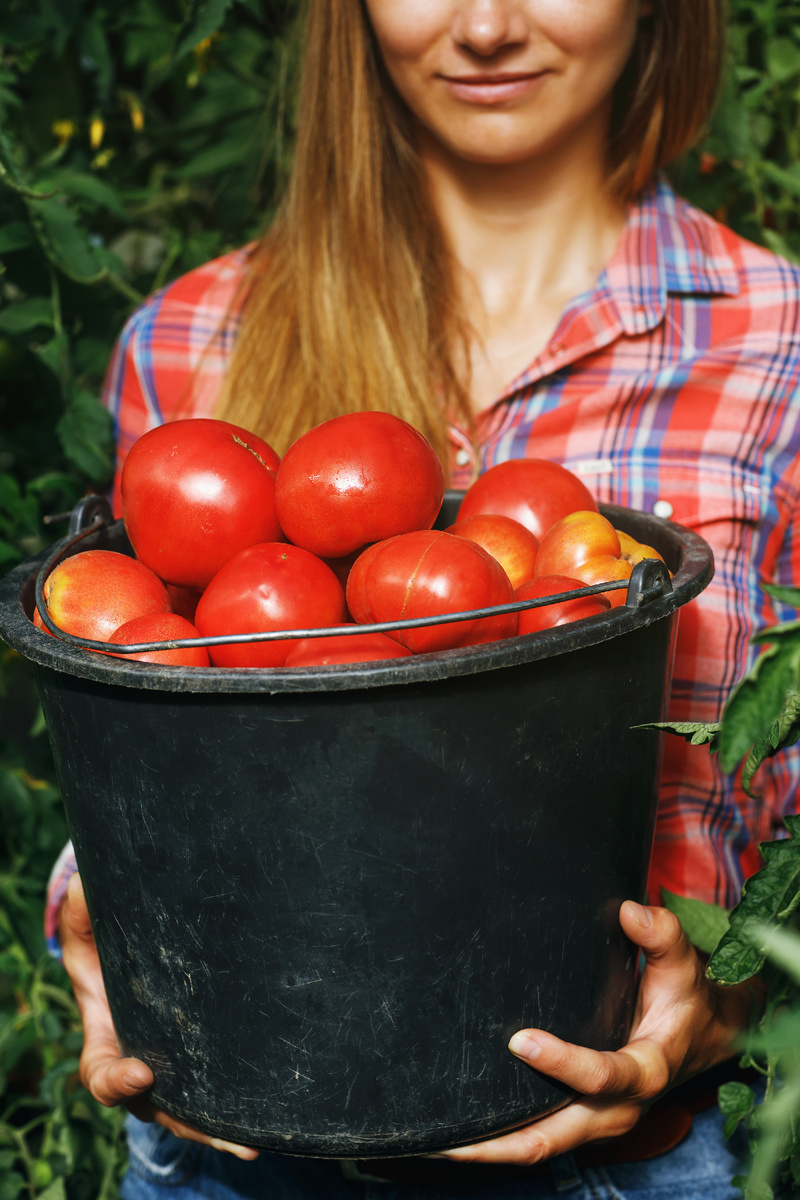 Designed by Freepik. Источник: www.freepik.com