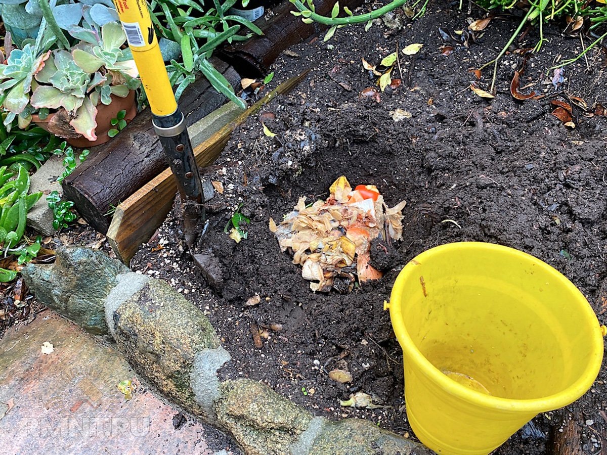 Фото debraleebaldwin.com