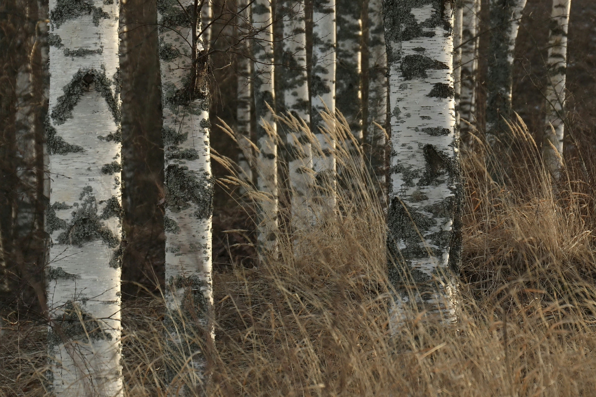 Фото Элизы на Unsplash            