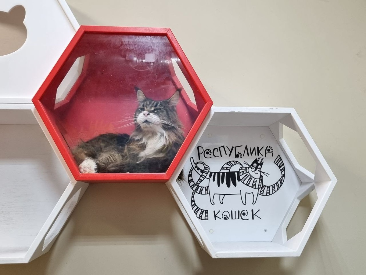 Самая прямая:) 