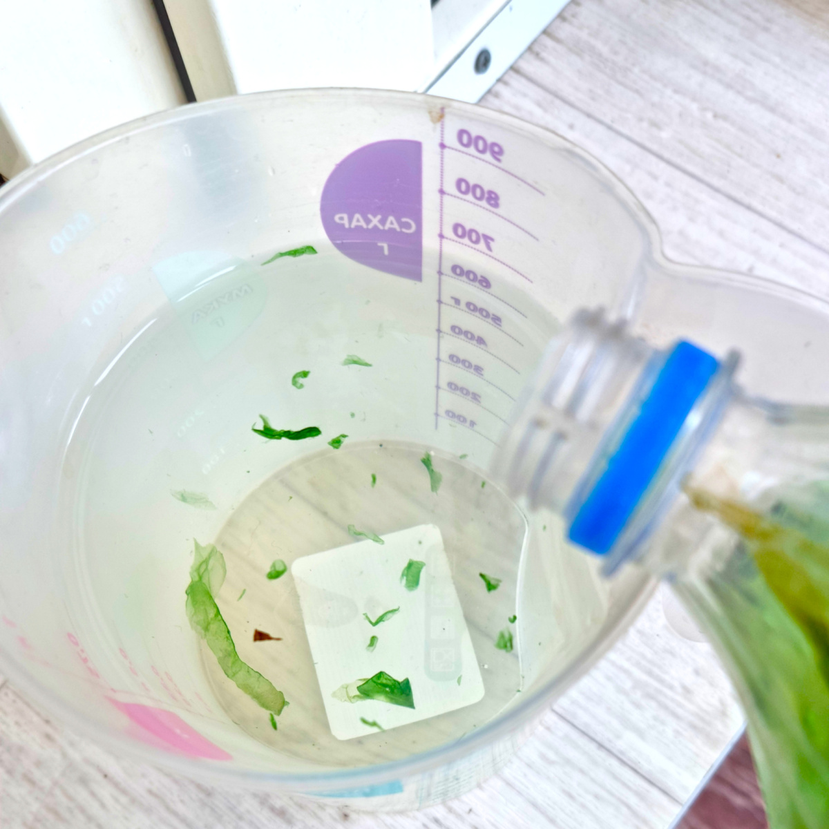 Вода с хлореллой