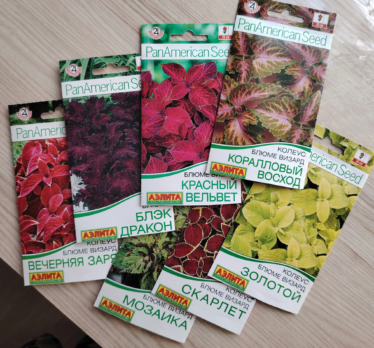 Семена колеуса