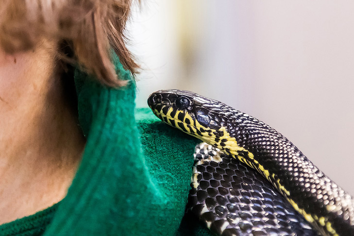    Фото Андрея Заржецкого