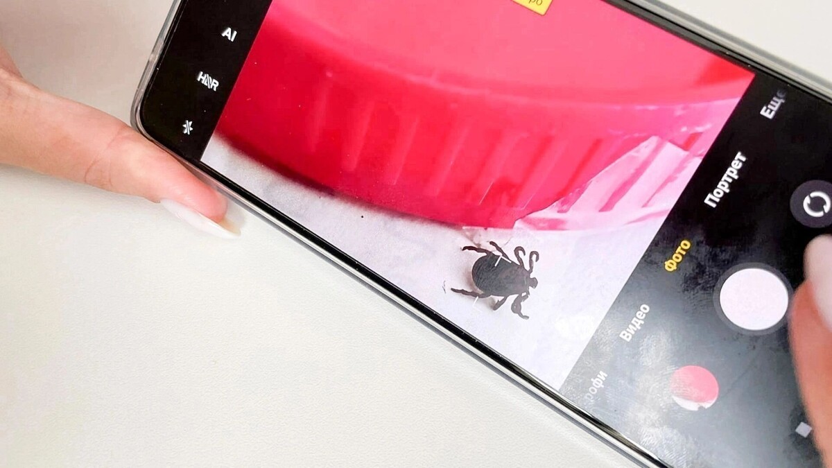     Источник: 1MI