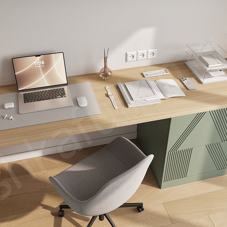 Шкафулькин